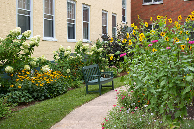 Garden-bench-and-flowers